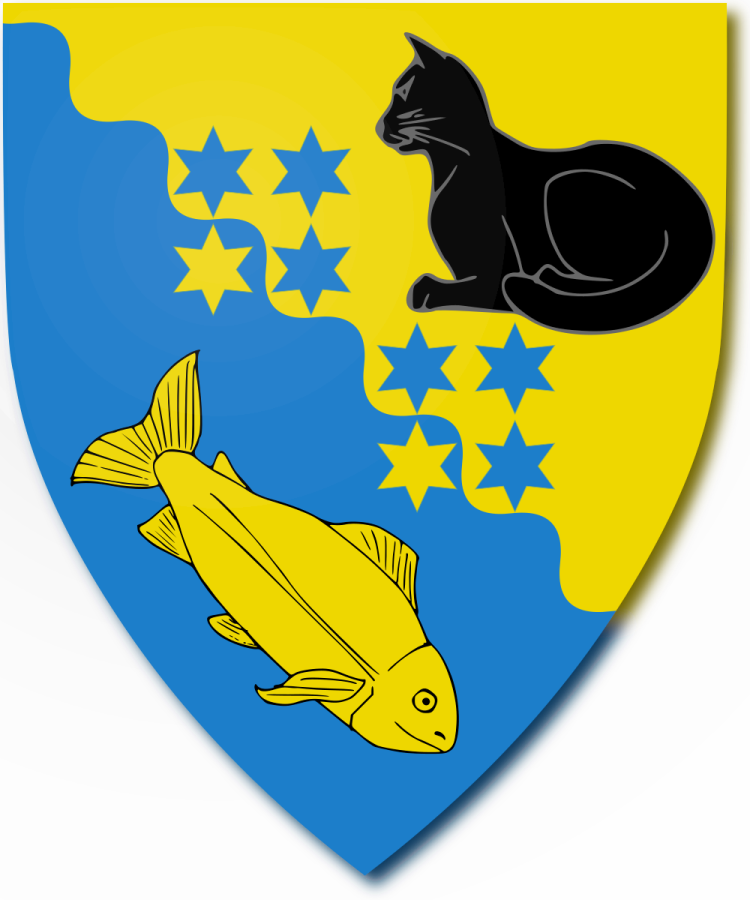 Shield image