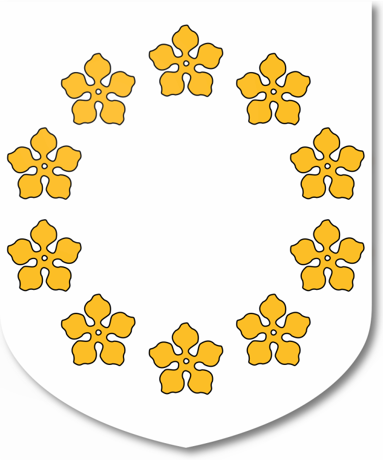 Shield image