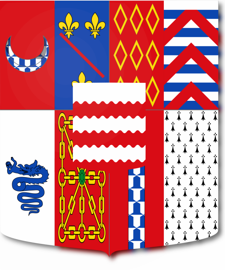 Shield image