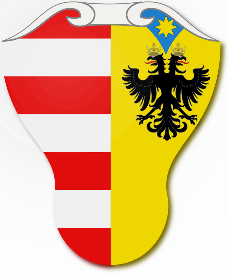 Shield image