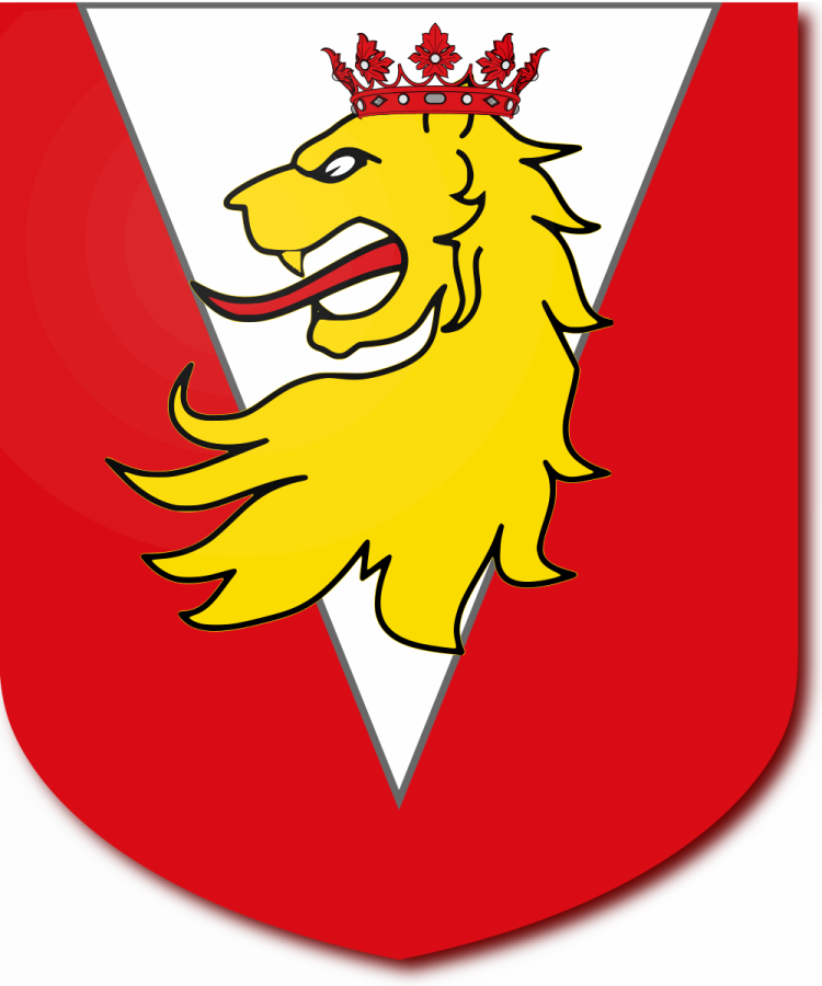 Shield image