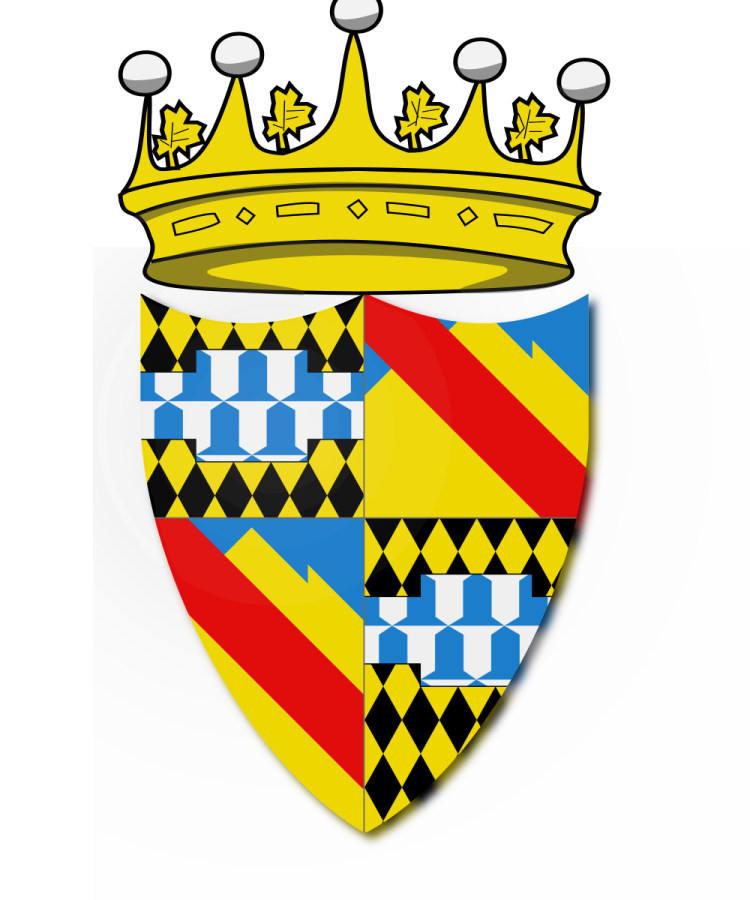 Shield image