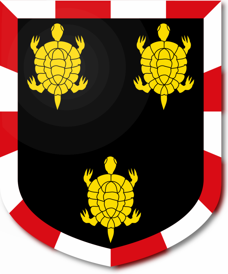 Shield image