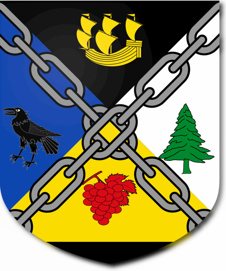 Shield image