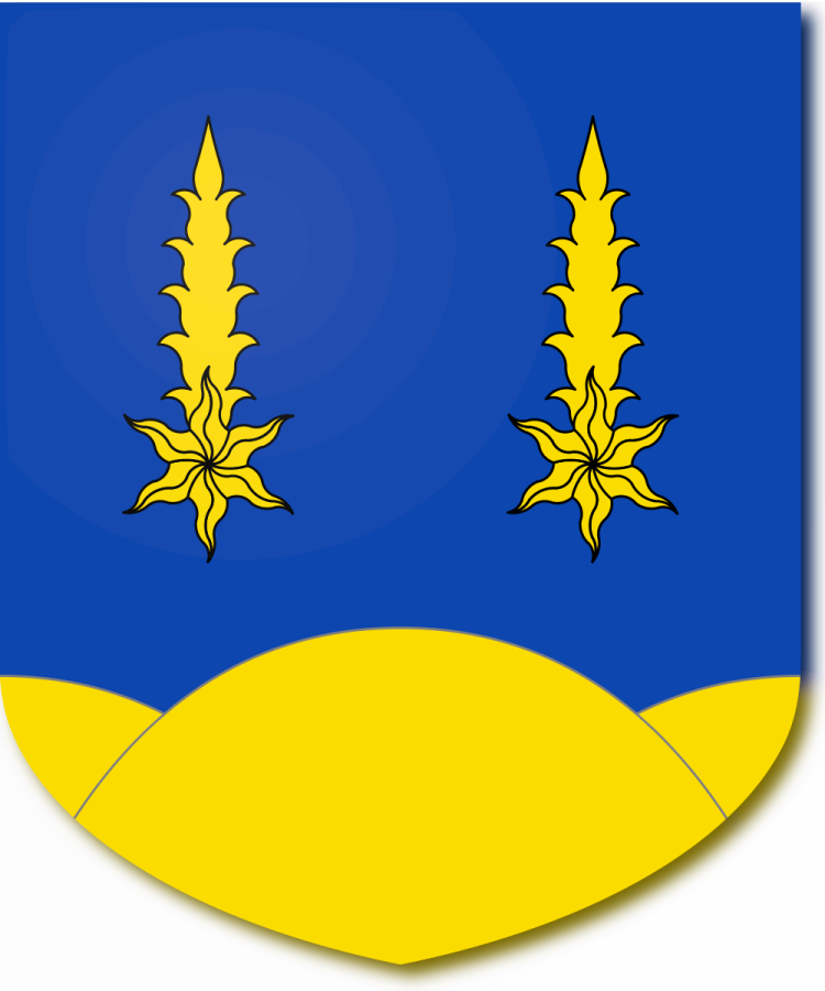 Shield image