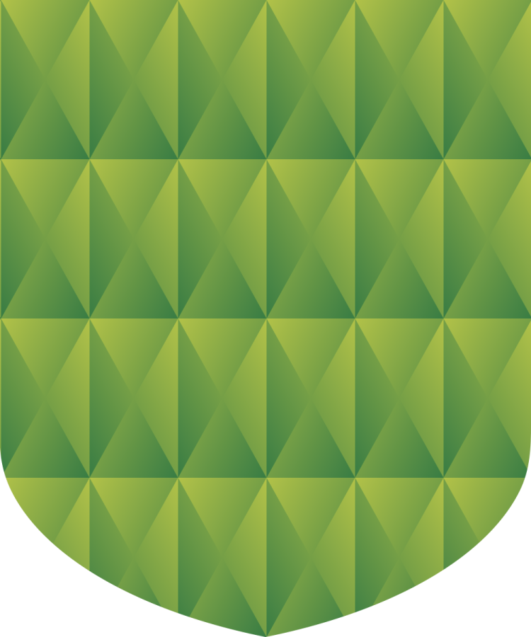 Shield image