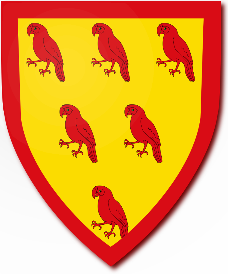 Shield image