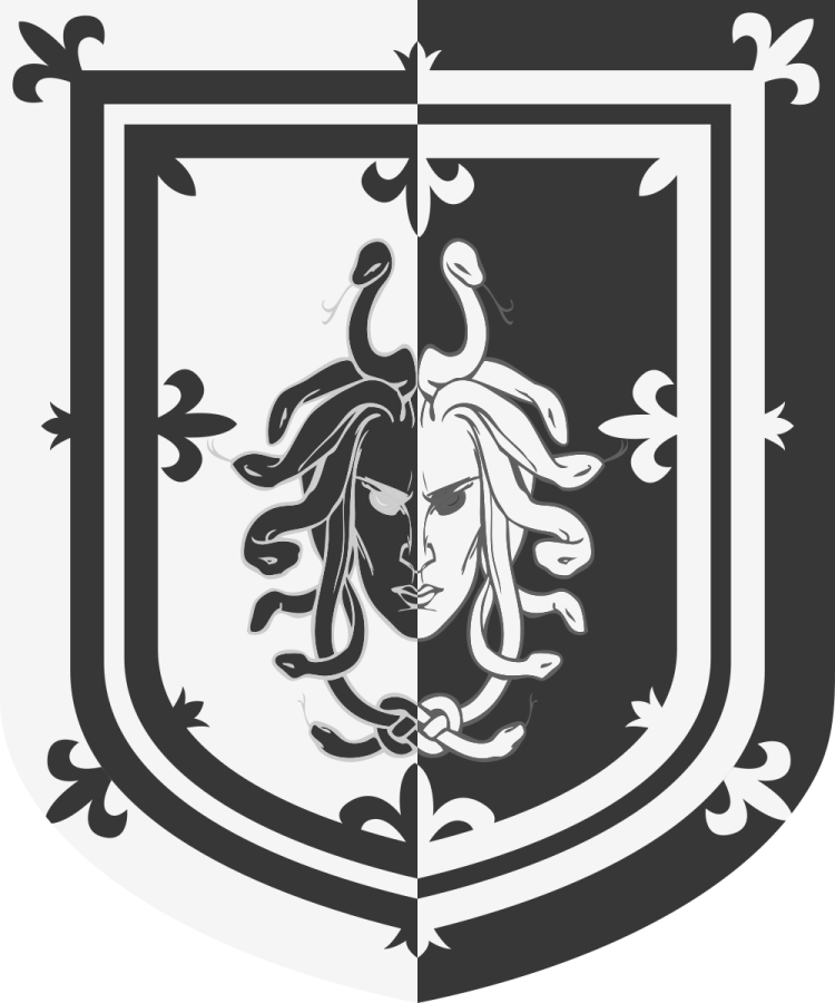 Shield image