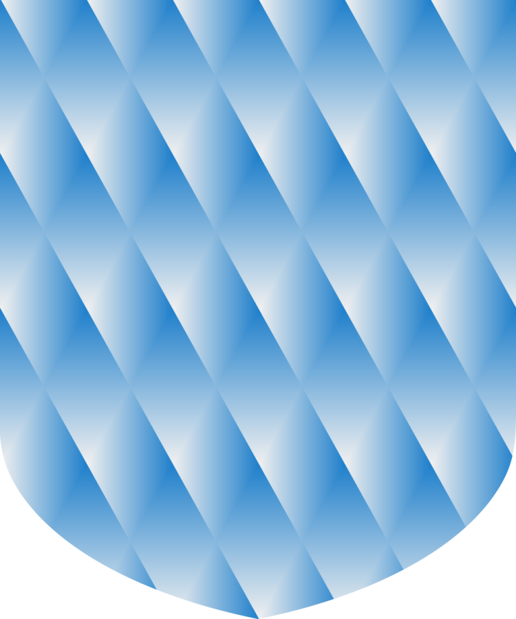 Shield image