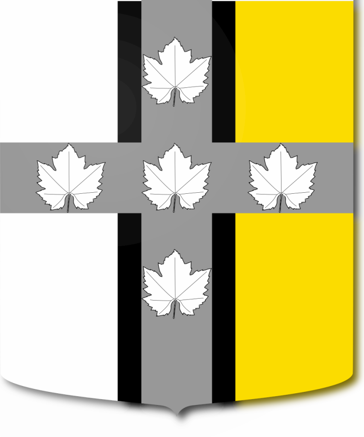 Shield image