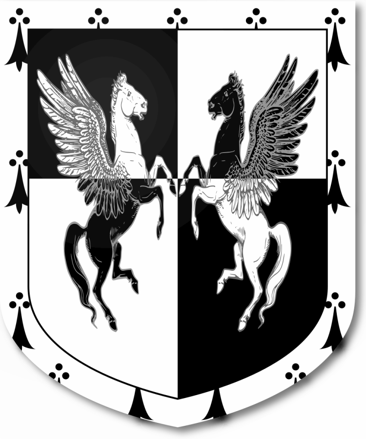 Shield image