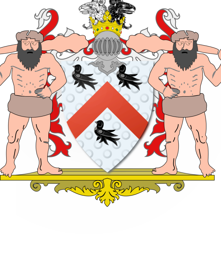 Shield image