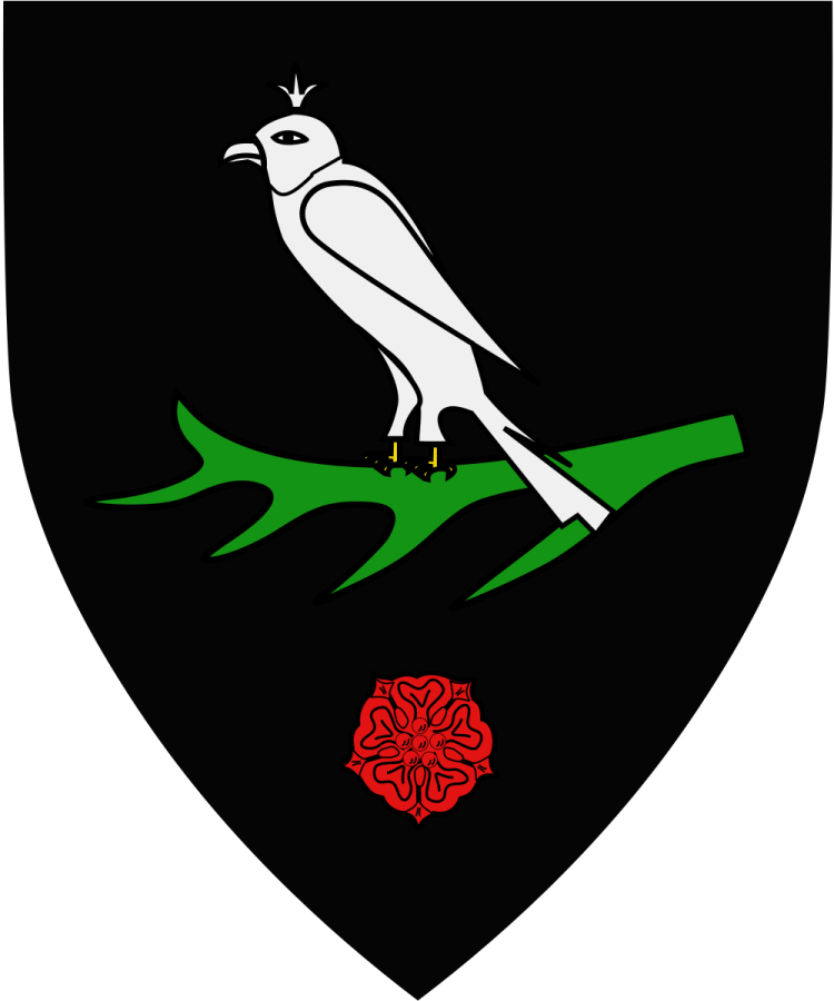 Shield image