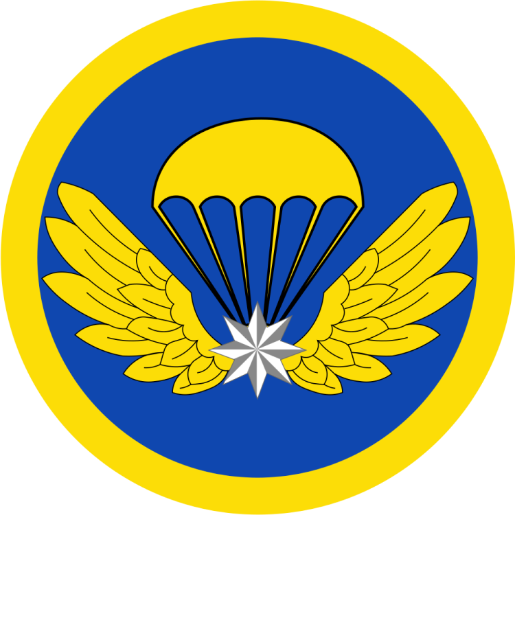 Shield image