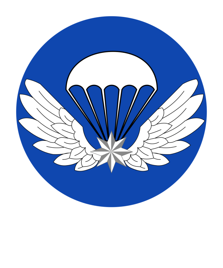 Shield image