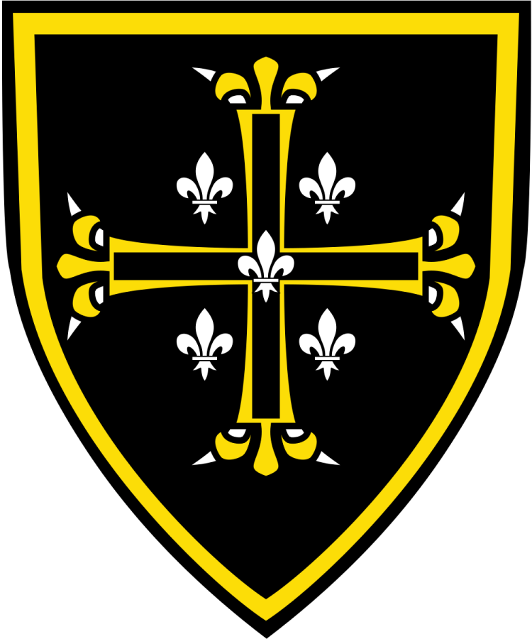 Shield image