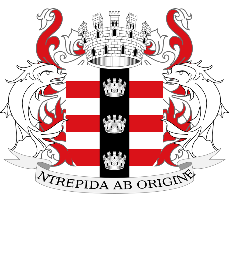 Shield image