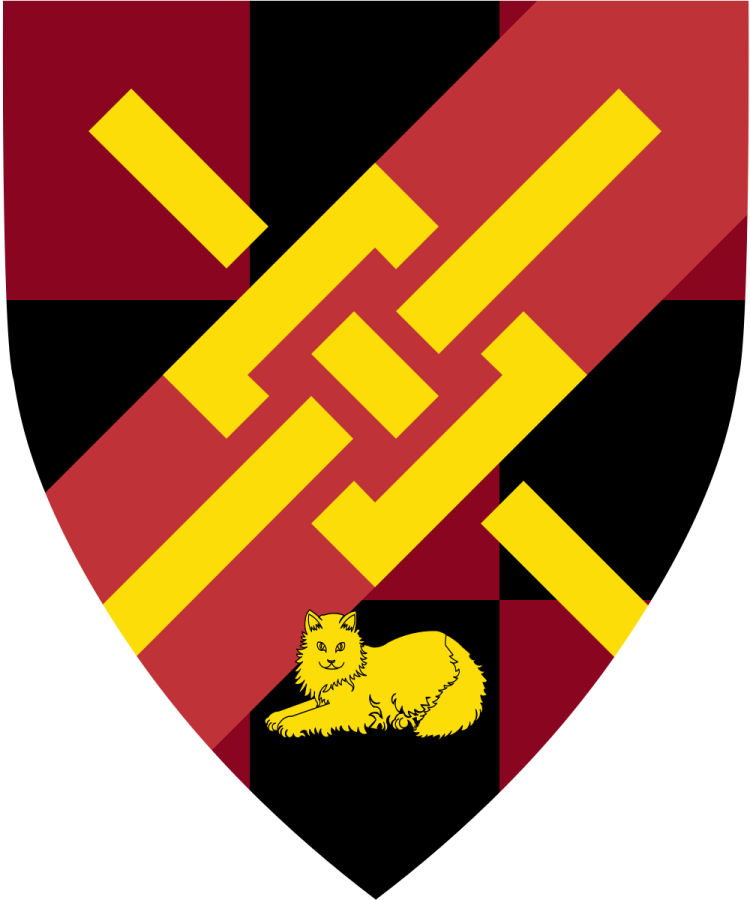 Shield image