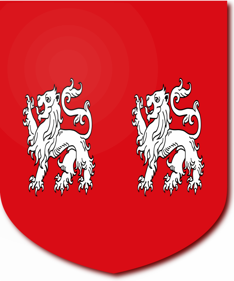 Shield image