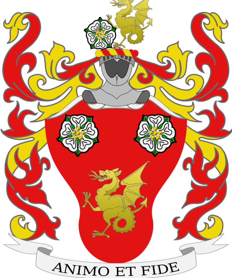 Shield image