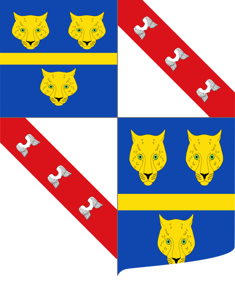 Shield image