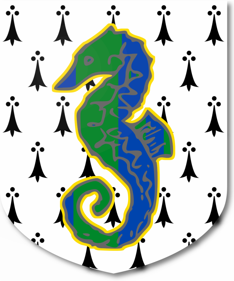 Shield image