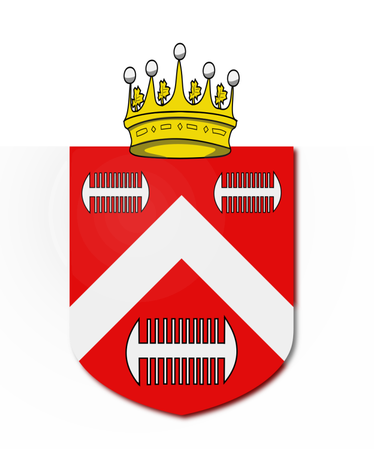 Shield image