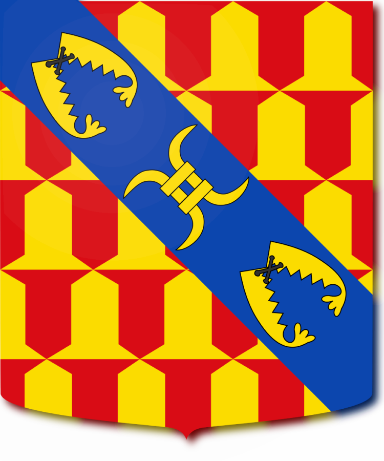 Shield image