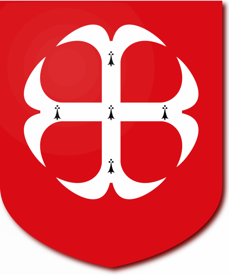 Shield image