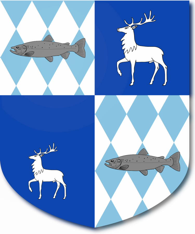 Shield image