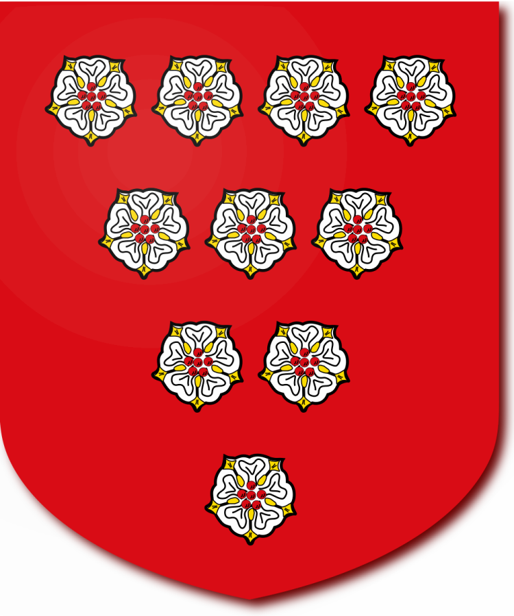 Shield image