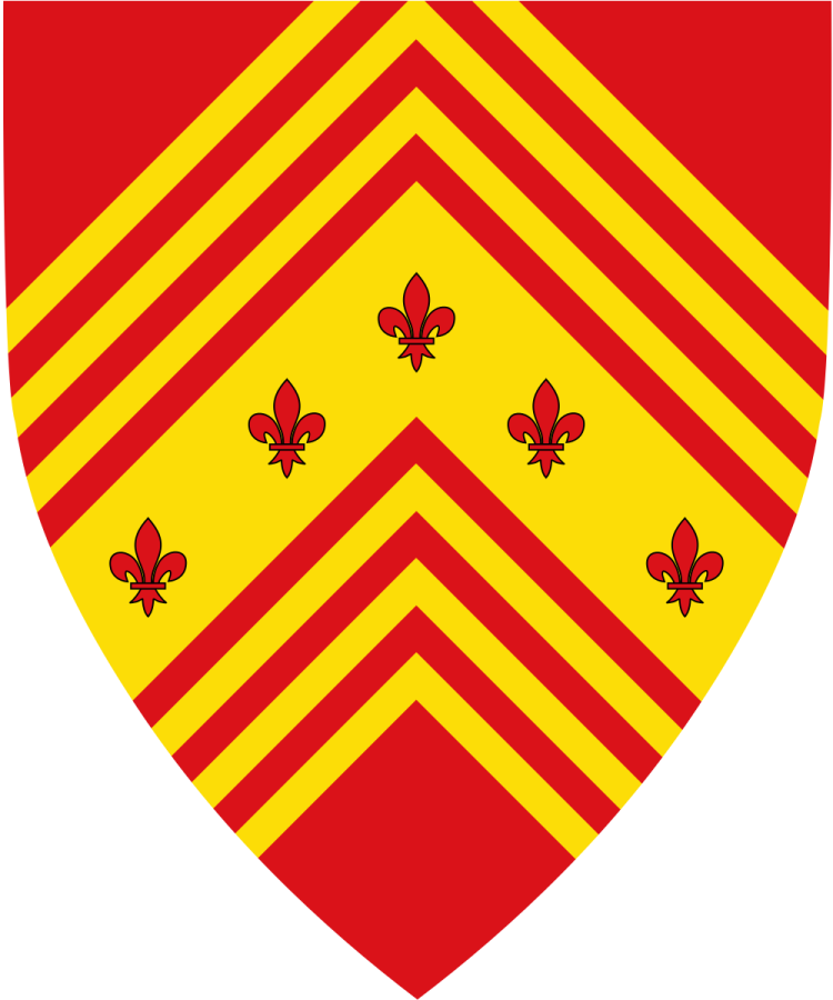 Shield image