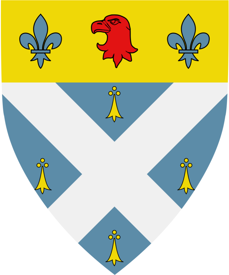 Shield image