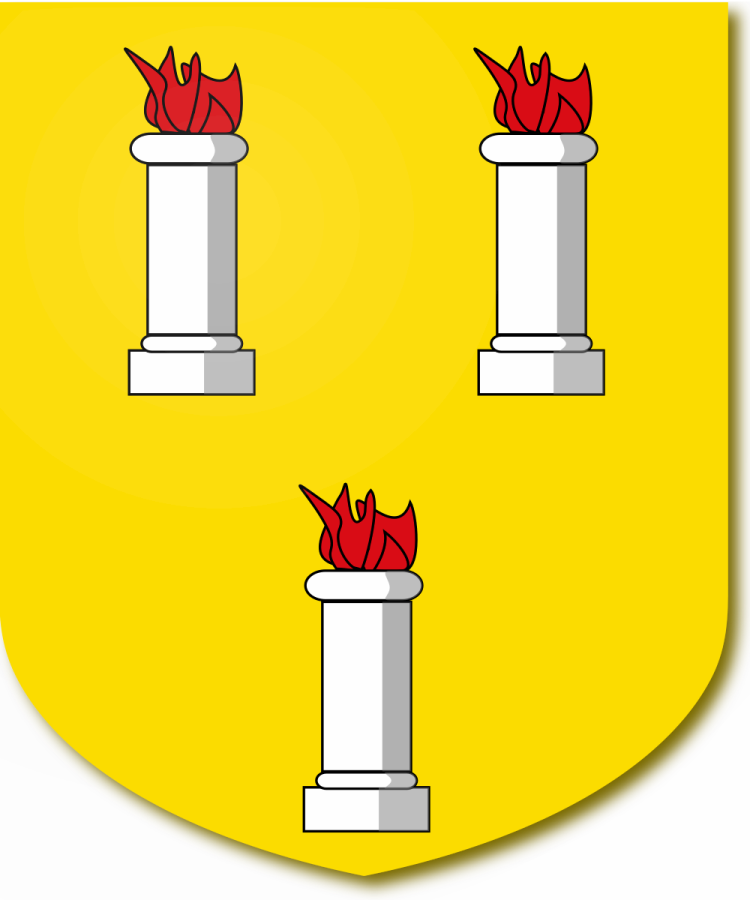 Shield image