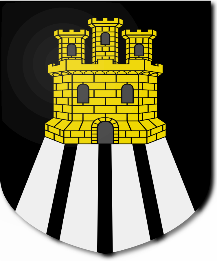 Shield image