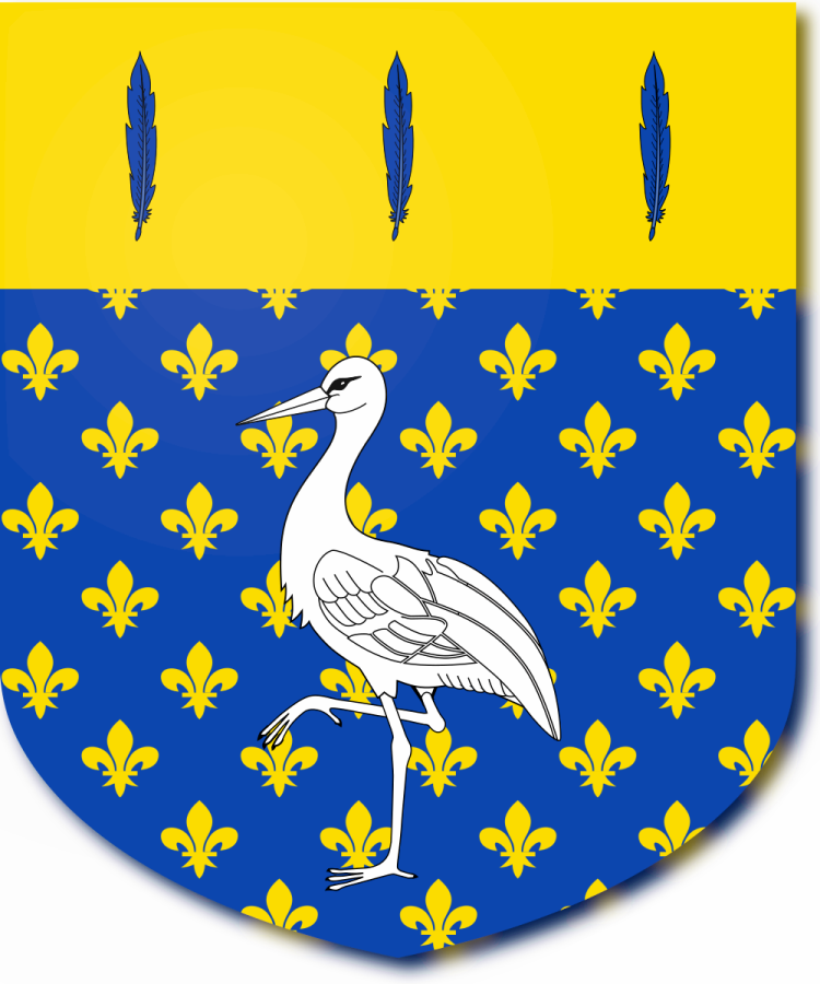 Shield image