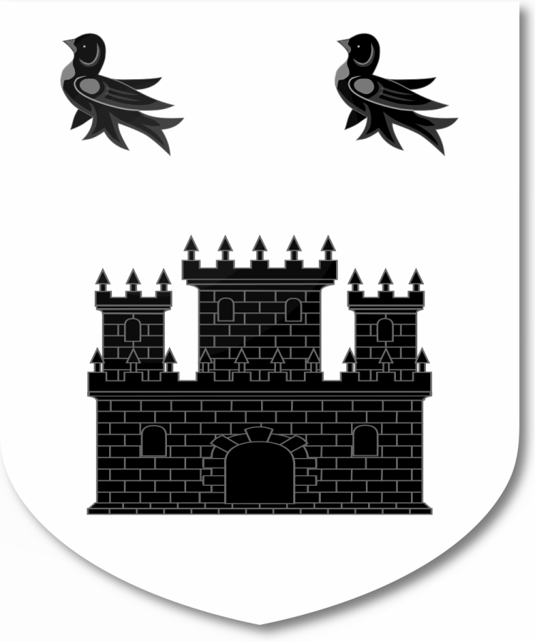 Shield image