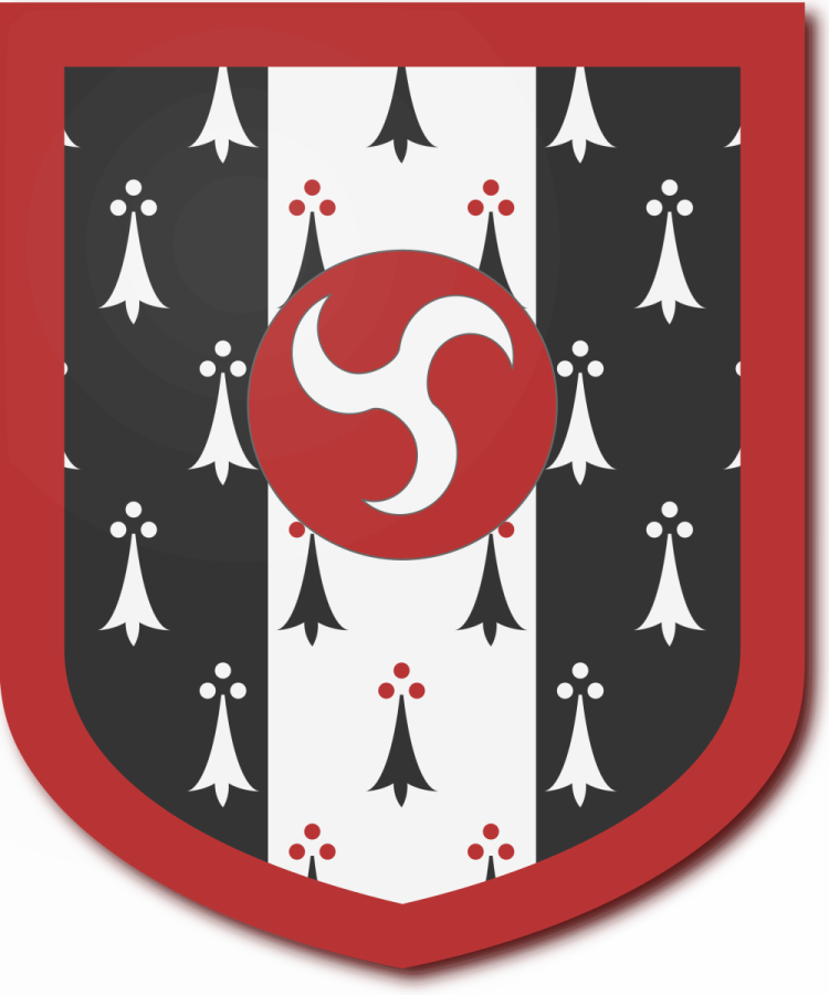 Shield image