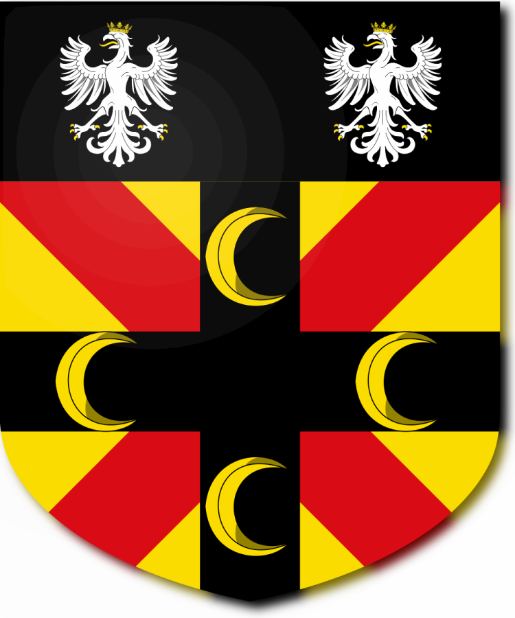 Shield image