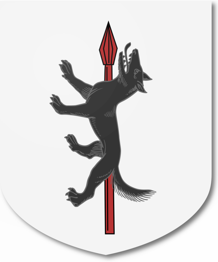 Shield image