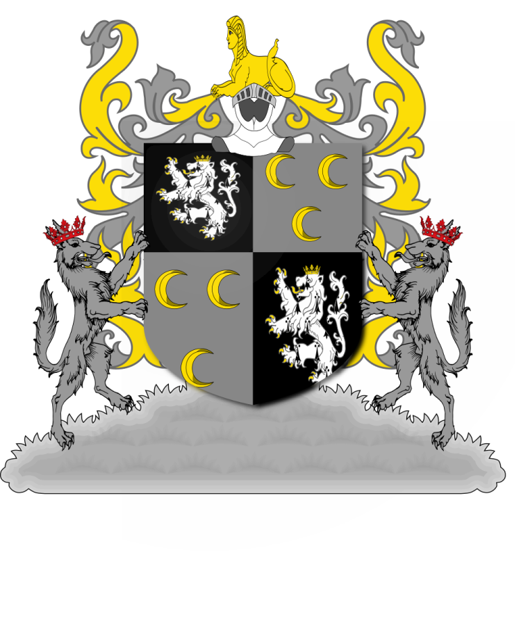 Shield image