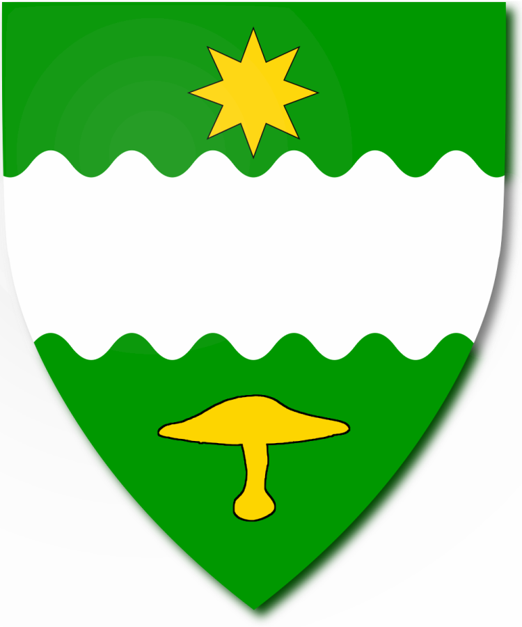 Shield image