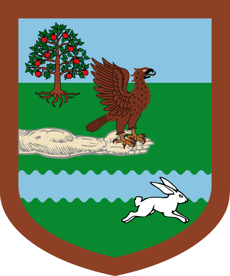 Shield image