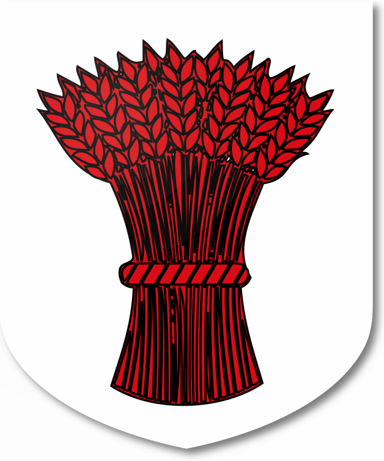 Shield image