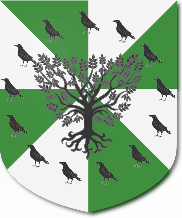 Shield image