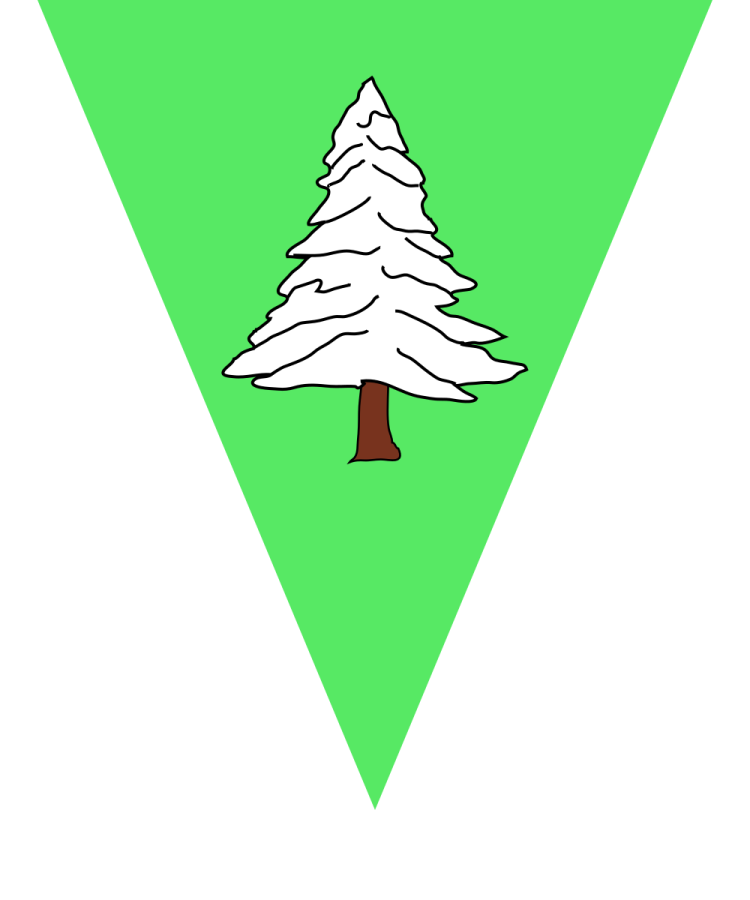 Shield image