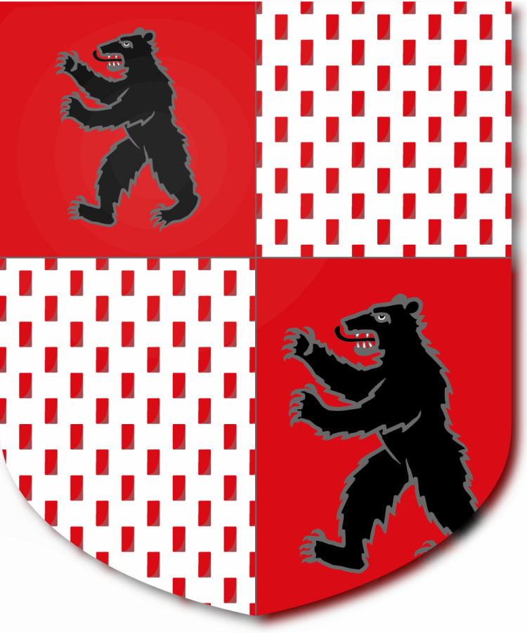 Shield image