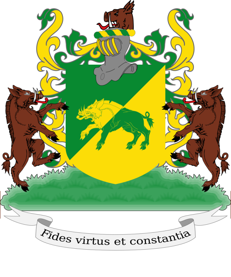 Shield image