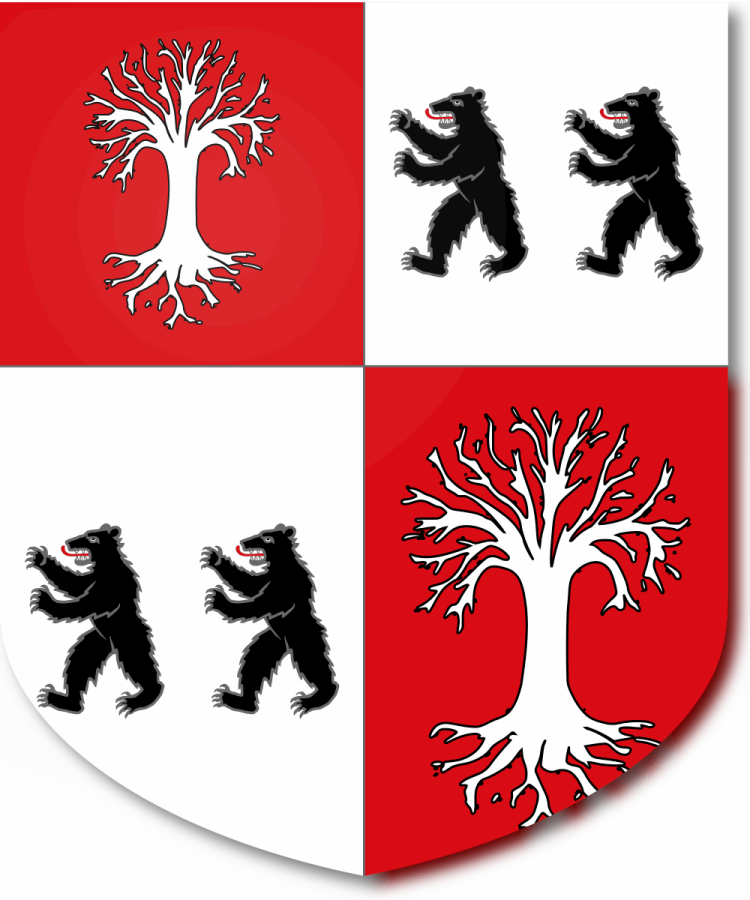 Shield image