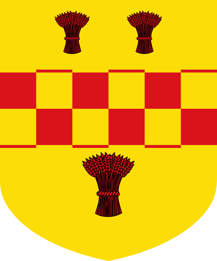 Shield image